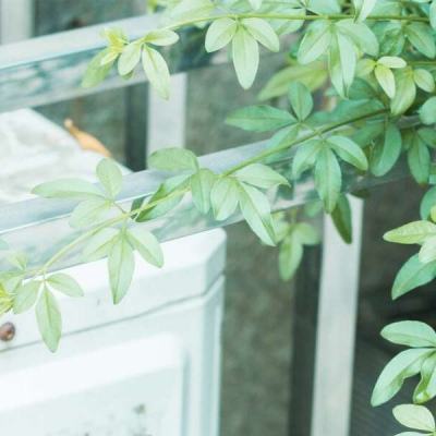 美国怪物卡车无敌版